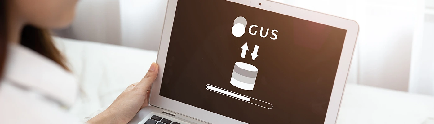 Pobieranie danych z GUS - dokumenty.pl Pobieranie danych z GUS - dokumenty.pl